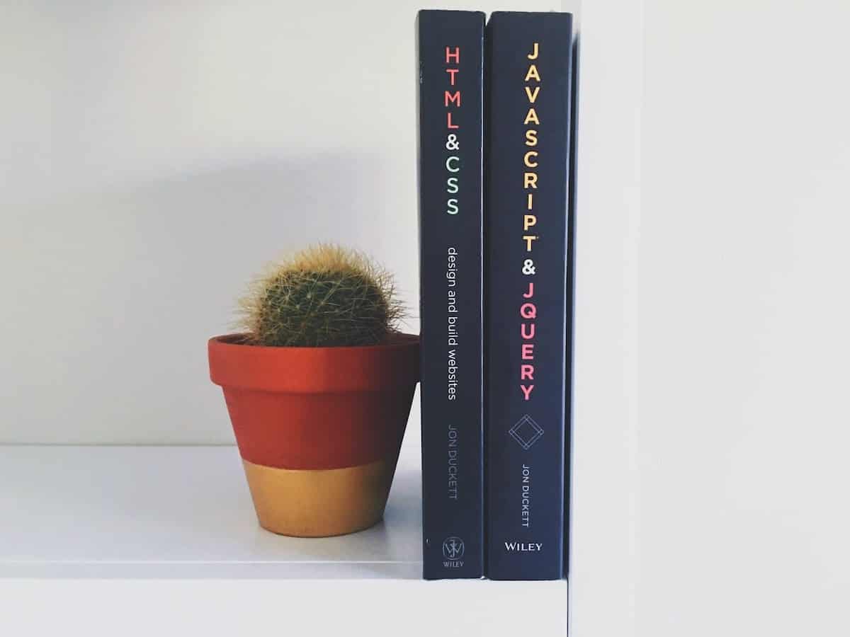 Two books titled HTML&CSS and JavaScript&JQuery sit on a bookshelf next to a tiny cactus. 