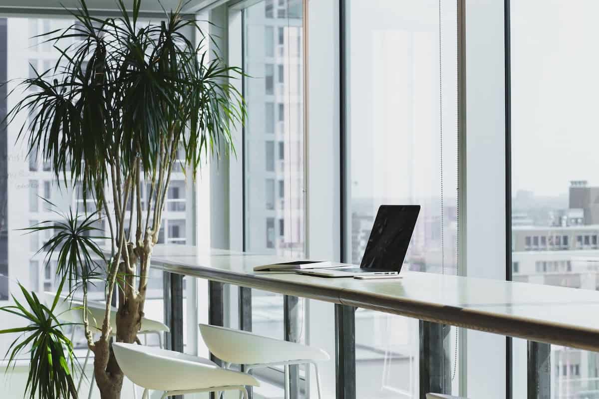 Laptop on long desk in front of large window and indoor plant How to Code a Website